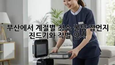 부산에서 계절별 청소 꿀팁: 집먼지 진드기와 작별 인사!