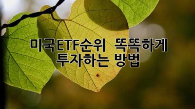 미국ETF순위 🚀 똑똑하게 투자하는 방법!