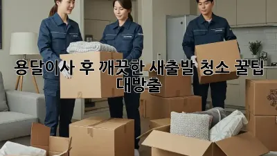 용달이사 후 깨끗한 새출발, 청소 꿀팁 대방출!